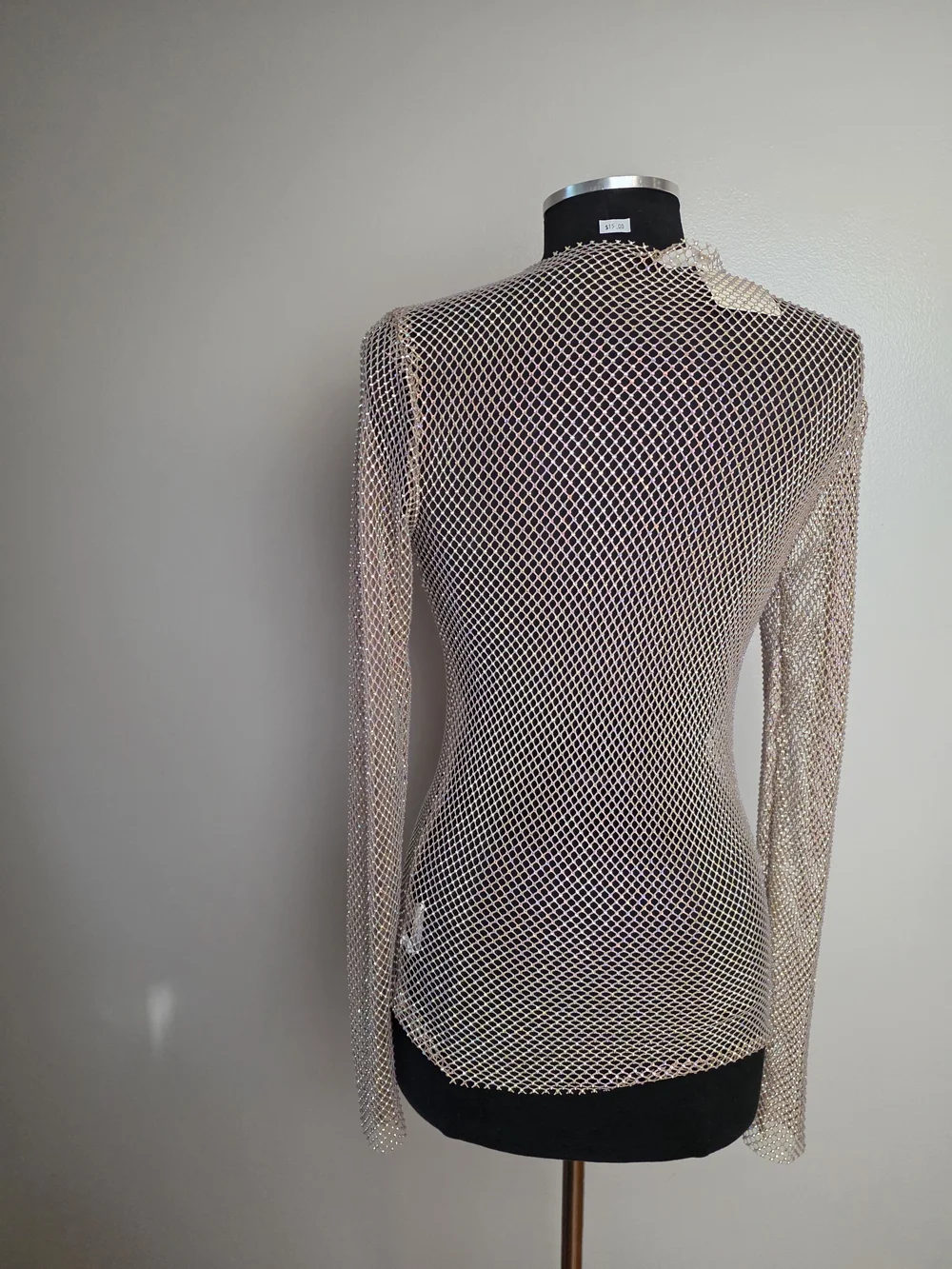 Free People Sheer Mesh Long-Sleeve Top in Beige